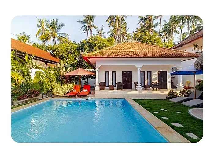 Lovina Pool The Sun 3* Anturan
