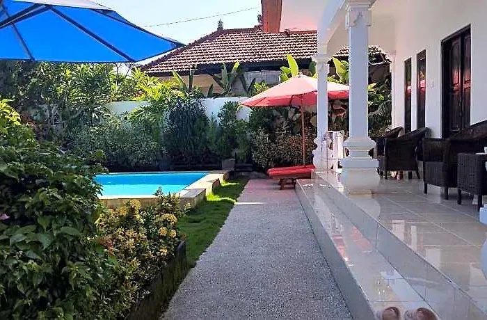 Lovina Pool The Sun 3* Anturan