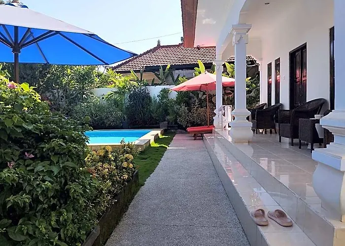 Lovina Pool The Sun